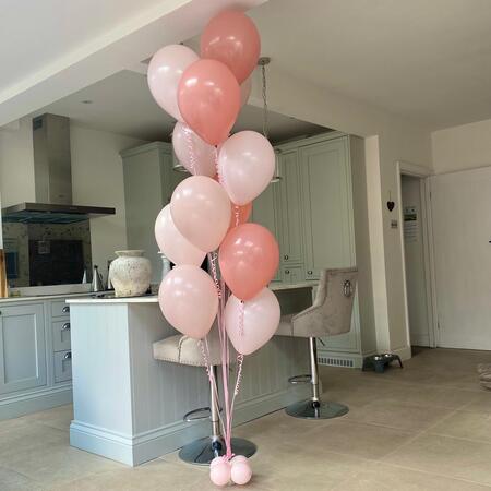 Rosewood, Dusky Rose and Pastel Matt Pink 12 Latex Helium Balloon Bouquet I My Dream Party Shop Ruislip