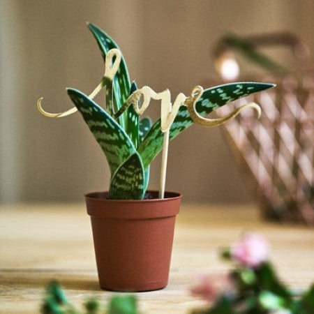 Gold Love Cake Topper I Modern Candle and Cake Accessories I UK