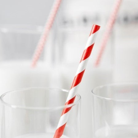 Red and White Striped Paper Straws I Modern Red Party Tableware I My Dream Party Shop