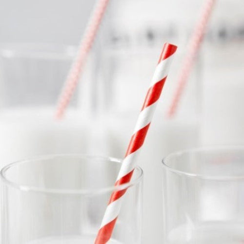 Red and White Striped Paper Straws I Modern Red Party Tableware I My Dream Party Shop