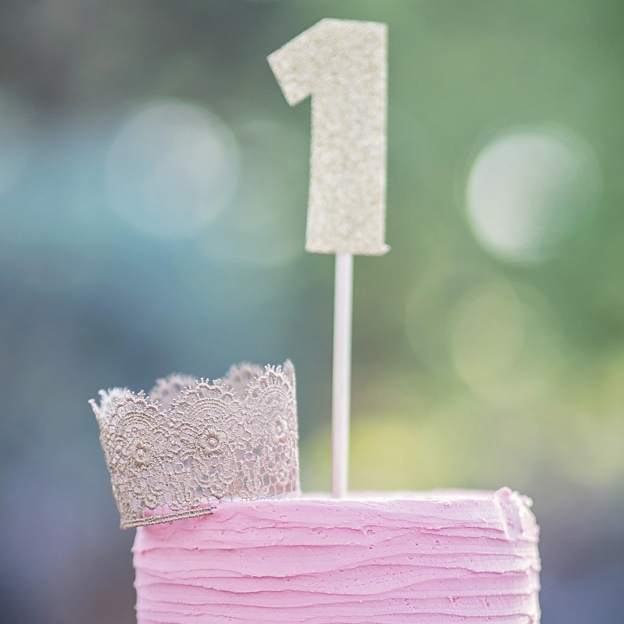 1st Birthday Party Decorations