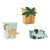 Dinosaur Party Treat Boxes I Dinosaur Party Supplies I My Dream Party Shop UK