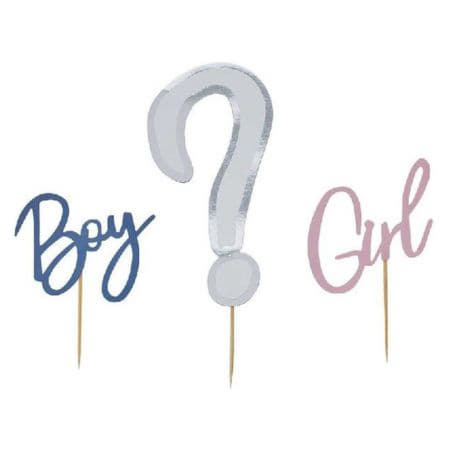 Pink and Blue Gender Reveal Cake Toppers I Gender Reveal Party Supplies I My Dream Party Shop UK