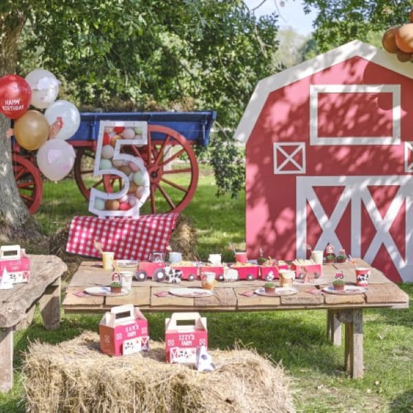 How to Throw a Farm Party Ideas Blog Post I My Dream Party Shop UK