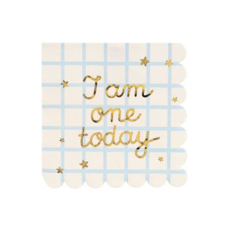 I am One Today Napkins I First Birthday Party Supplies I My Dream Party Shop UK