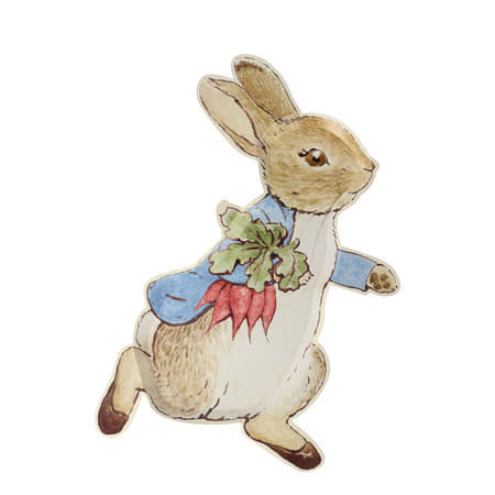 Peter Rabbit Shaped Plates I Peter Rabbit Party Supplies I My Dream Party Shop UK