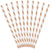 Metallic Rose Gold Striped Straws I Rose Gold Party Decorations I My Dream Party Shop UK