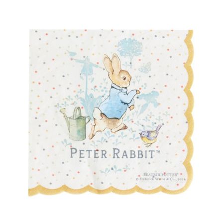 Classic Peter Rabbit Napkins I Peter Rabbit Party Tableware I My Dream Party Shop UK