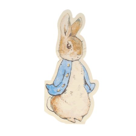 Peter Rabbit Shaped Napkins I Peter Rabbit Party Supplies I My Dream Party Shop UK