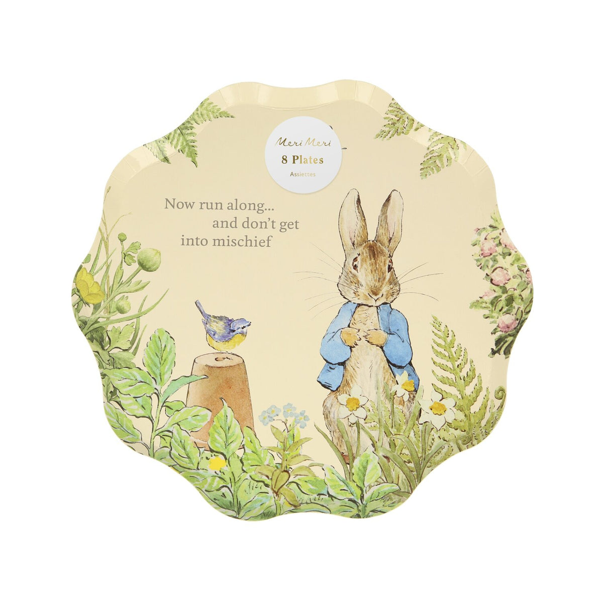 Peter Rabbit In the Garden Side Plates I Peter Rabbit Party I My Dream Party Shop UK