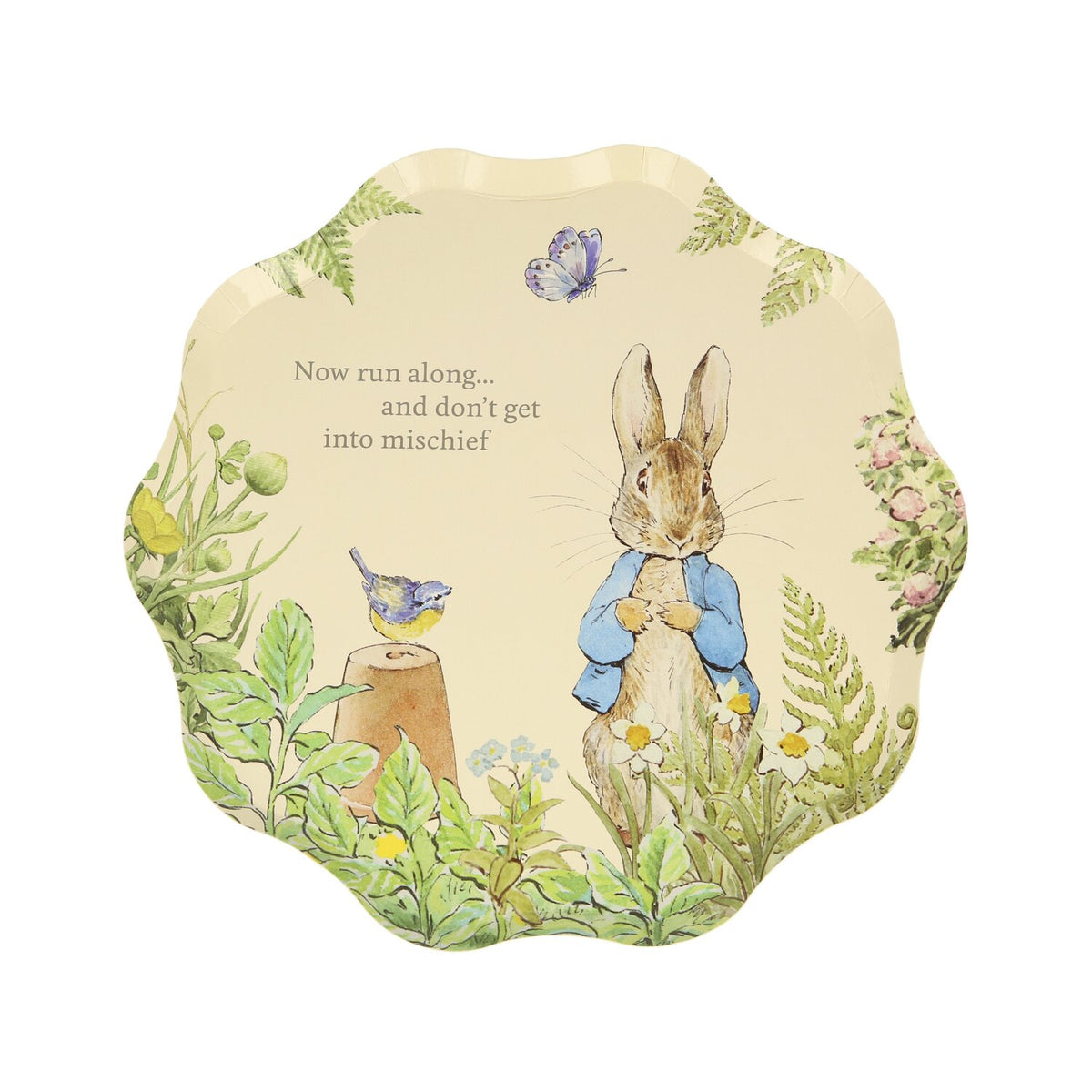 Peter Rabbit In the Garden Small Side Plates I Peter Rabbit Party Supplies I My Dream Party Shop