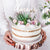 Gold Amour Cake Topper I Wedding & Anniversary Cake Decoration I  My Dream Party Shop I UK