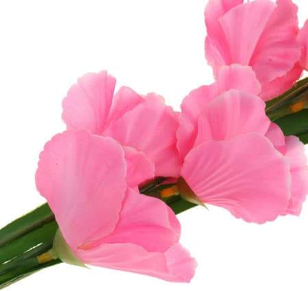 Artificial Pink Gladioli Flower I Artificial Party Flowers I My Dream Party Shop I UK
