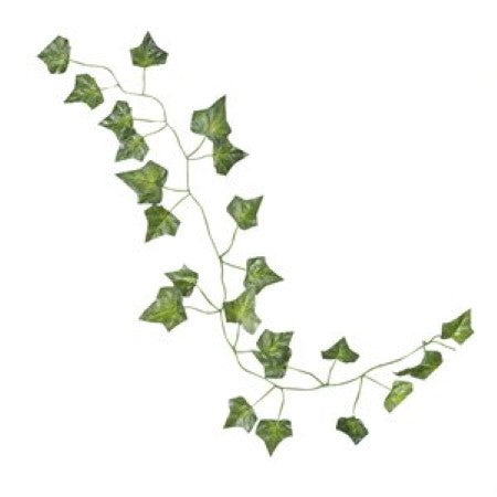 Close up of Decorative Vines showing ivy leaves hanging I UK