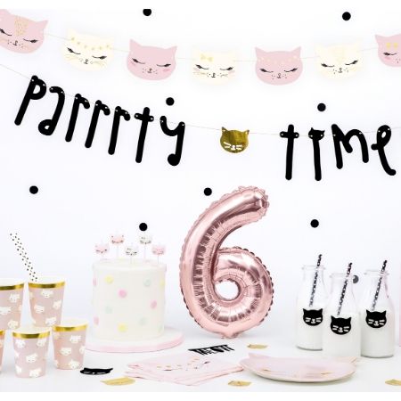 Black Parrrty Time Cat Garland I Pretty Pink Cat Party Decorationsons I My Dream Party Shop UK
