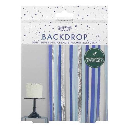 Blue and Silver Crepe Paper Backdrop I Blue and Silver Party Decorations I My Dream Party Shop