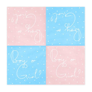 Blue and Pink Boy or Girl Napkins I Baby Shower Tableware I UK