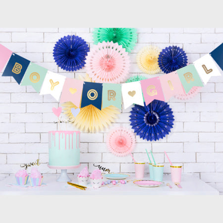 Boy or Girl Baby Shower Garland I Baby Shower Decorations I My Dream Party Shop I UK