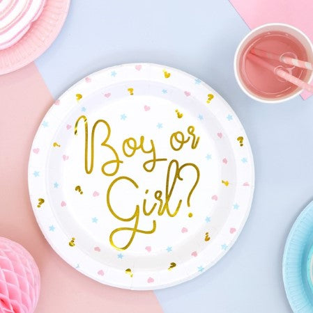White Boy or Girl Gender Reveal Plates I Baby Shower Supplies I My Dream Party Shop 