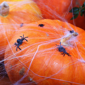 Halloween Black Spiders I Halloween Party Decorations I My Dream Party Shop