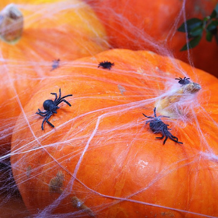 Halloween Black Spiders I Halloween Party Decorations I My Dream Party Shop