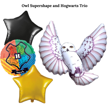 Harry Potter Owl Helium Balloon Bouquet I Collection Ruislip I My Dream Party Shop