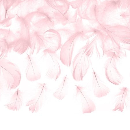 Light Pink Feathers I Party Decoration Accessories I UK