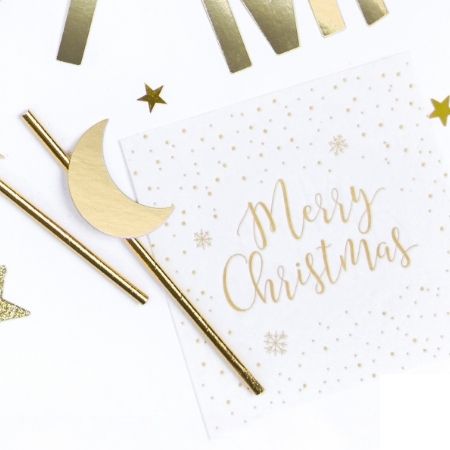 Merry Christmas Napkins I Christmas Tableware I My Dream Party Shop
