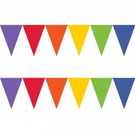 Rainbow Flag Bunting I Festival Party Supplies I My Dream Party Shop