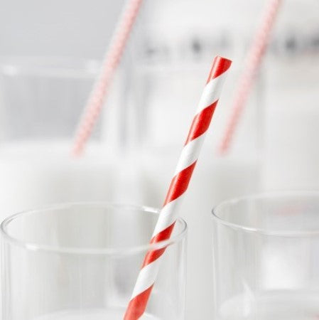 Red and White Striped Paper Straws I Modern Red Party Tableware I My Dream Party Shop 