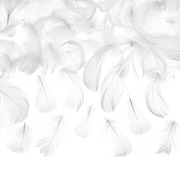 White Craft Feathers 3g I UK