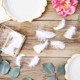 White Craft Feathers 3g I White Feathers for Crafting or Decorating UK