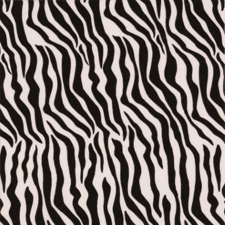 Zebra Print Napkins I Safari Party Supplies I My Dream Party Shop UK