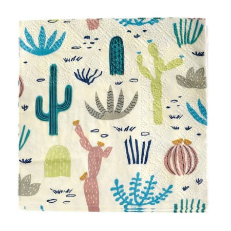 Desert in Bloom Napkins I Modern Cowboy Party I My Dream Party Shop UK